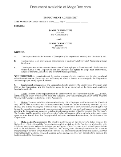 Employment Agreement for chief executive officer position in Ontario