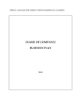 Picture of Construction and Demolition Waste Recycling Plant Business Plan