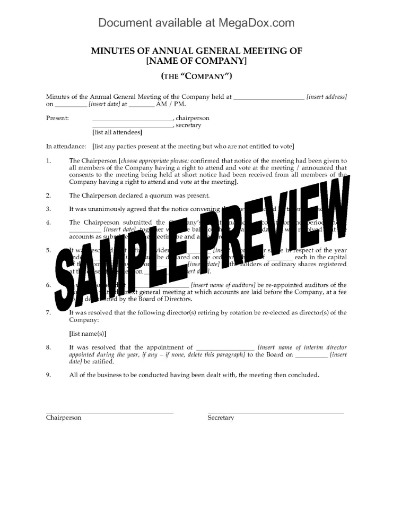 UK Minutes of Annual General Meeting of Company