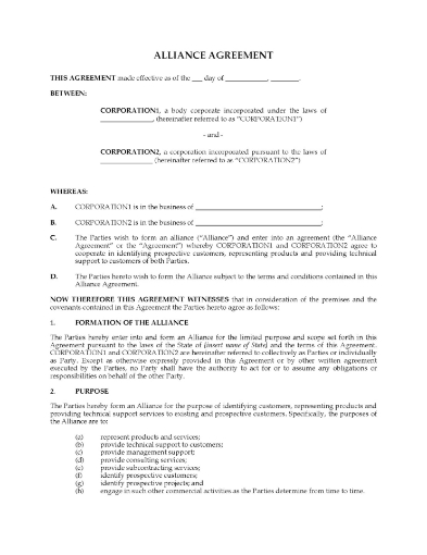 USA Business Alliance Agreement