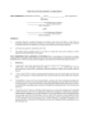 USA Website Development Agreement