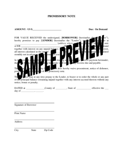 Picture of USA Demand Promissory Note