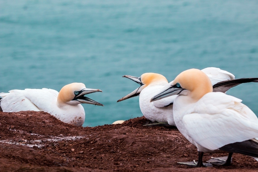 Ending a Partnership - How to Remain Friends After the Break-up