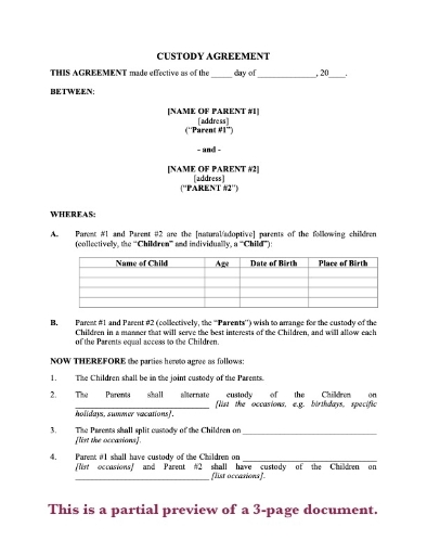 USA Short Form Custody Agreement